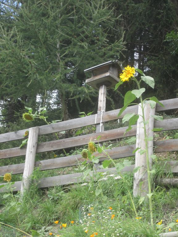 Ferienhaus Fichtenheim Prägraten Dış mekan fotoğraf